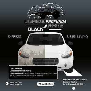 Limpieza Profunda Black & Withe